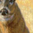 Preview of cross stitch pattern: #800349