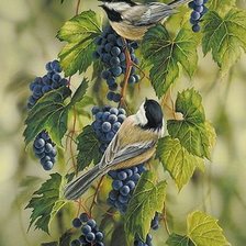 Cross stitch pattern: #801025