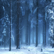 Cross stitch pattern: #801039