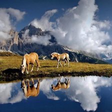 Cross stitch pattern: #801293