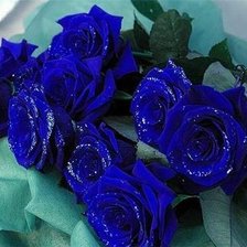 Cross stitch pattern: #801297