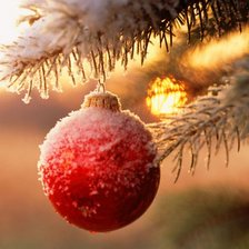 Cross stitch pattern: #801846