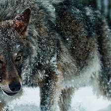 Cross stitch pattern: #801847