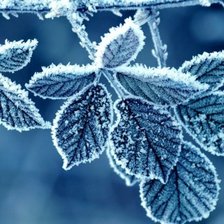 Cross stitch pattern: #801852