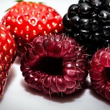 Cross stitch pattern: #801937