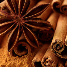 Cross stitch pattern: #801945