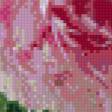 Preview of cross stitch pattern: #802450