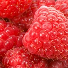 Cross stitch pattern: #802508