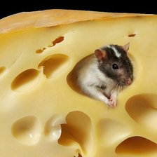 Cross stitch pattern: #802510