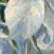 Preview of cross stitch pattern: #802663