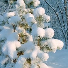 Cross stitch pattern: #802842