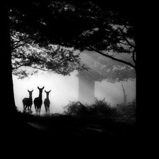 Cross stitch pattern: #802843