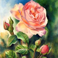 Cross stitch pattern: #802987