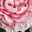 Preview of cross stitch pattern: #803014