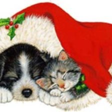 Cross stitch pattern: #803205