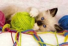 Cross stitch pattern: #803483