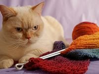 Cross stitch pattern: #803486