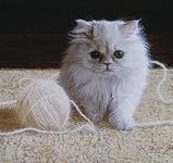 Cross stitch pattern: #803492