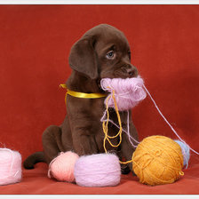 Cross stitch pattern: #803523