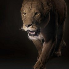 Cross stitch pattern: #803650