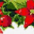 Preview of cross stitch pattern: #804642