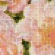 Preview of cross stitch pattern: #804913