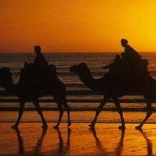 Cross stitch pattern: #805294