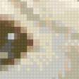Preview of cross stitch pattern: #805326