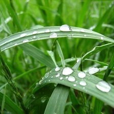 Cross stitch pattern: #805354