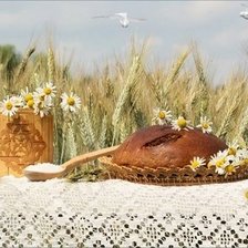 Cross stitch pattern: #805362