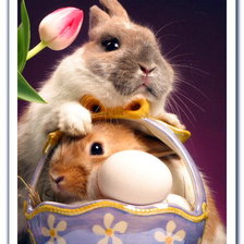 Cross stitch pattern: #805388