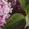 Preview of cross stitch pattern: #806526
