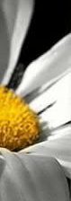 Cross stitch pattern: #806960