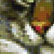 Preview of cross stitch pattern: #806967