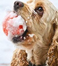 Cross stitch pattern: #807386