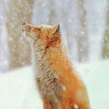 Cross stitch pattern: #807391