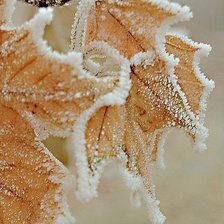 Cross stitch pattern: #807398