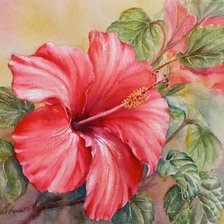 Cross stitch pattern: #807686