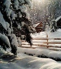 Cross stitch pattern: #807709