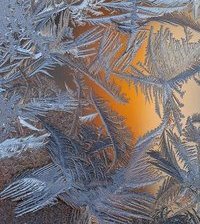 Cross stitch pattern: #807817