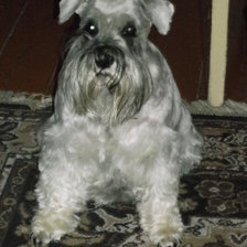 Cross stitch pattern: #809019