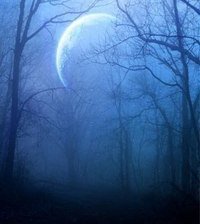 Cross stitch pattern: #809771