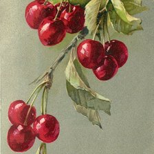 Cross stitch pattern: #809788