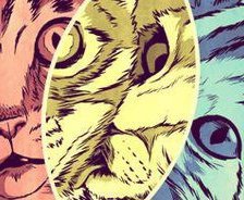 Cross stitch pattern: #810223