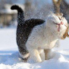 Cross stitch pattern: #810820