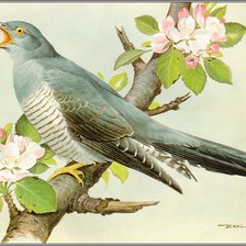 Cross stitch pattern: #812649