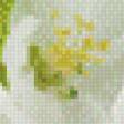 Preview of cross stitch pattern: #813449