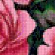 Preview of cross stitch pattern: #813723