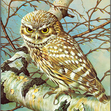 Cross stitch pattern: #814905