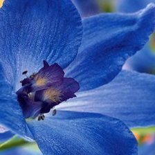 Cross stitch pattern: #815316